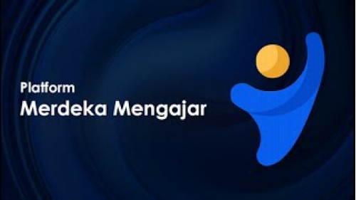 Refleksi Kegiatan Pelatihan Mandiri PMM